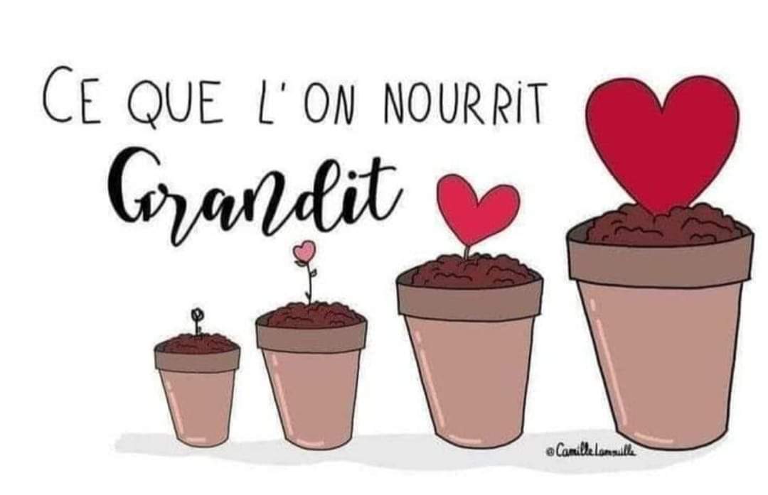 Sud Sophrologie